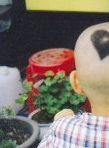 Who Wears His Heart on His Head?